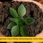 Pengertian Gaya Hidup Berkelanjutan Serta Manfaatnya