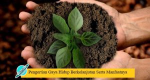 Pengertian Gaya Hidup Berkelanjutan Serta Manfaatnya